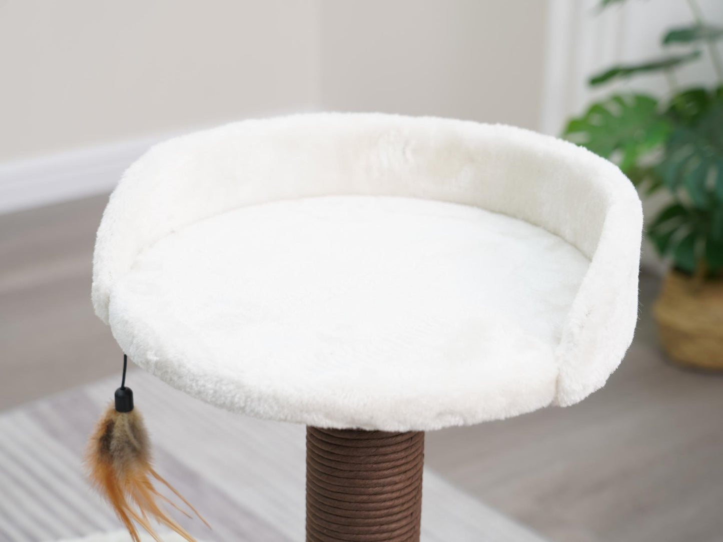 Natural Cozy