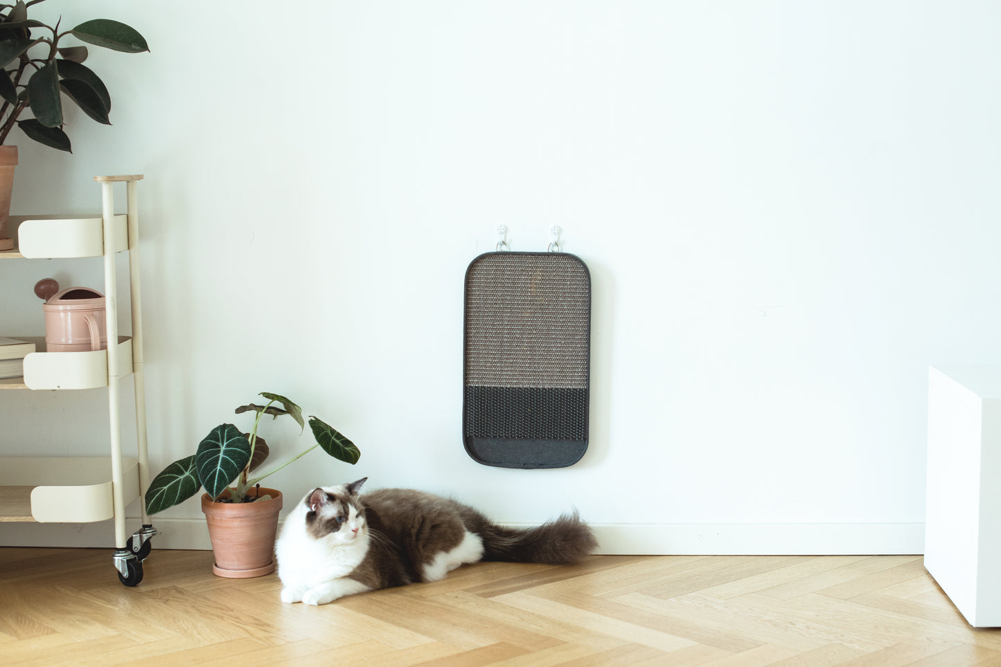 Catry 2-in-1 Scratching Pad