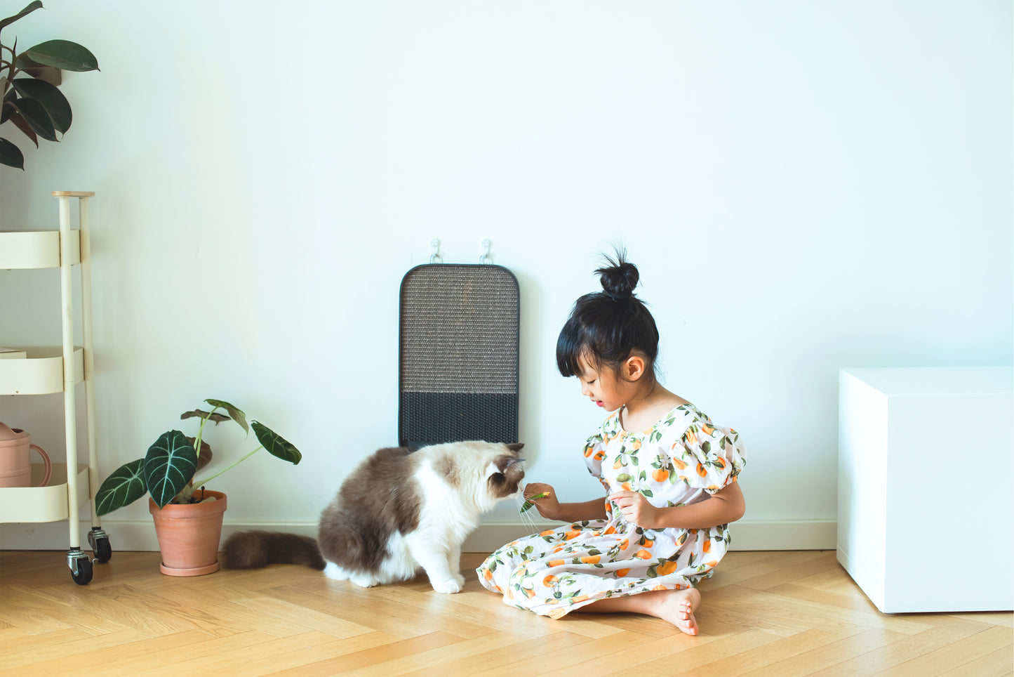 Catry 2-in-1 Scratching Pad