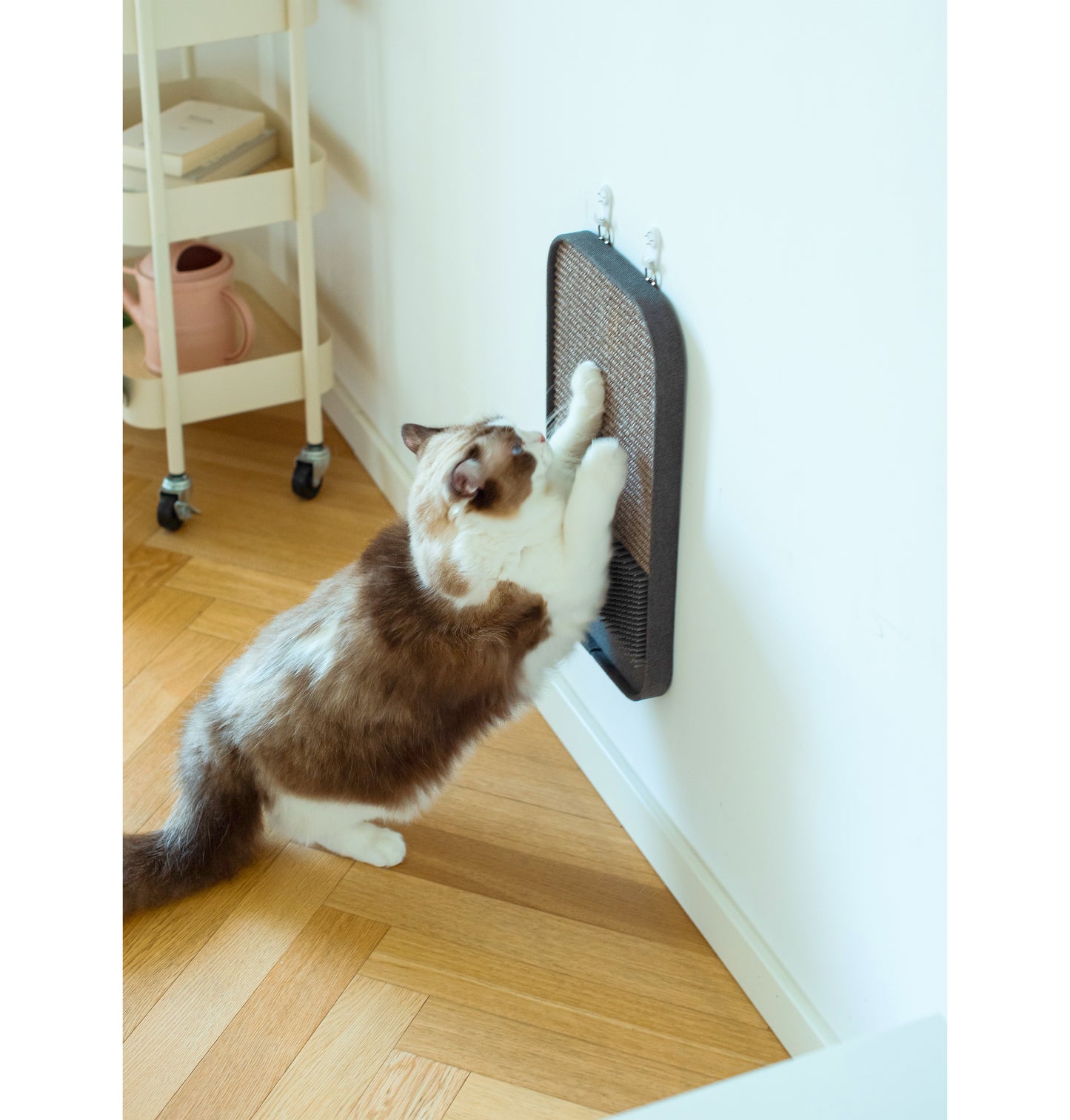 Catry 2-in-1 Scratching Pad
