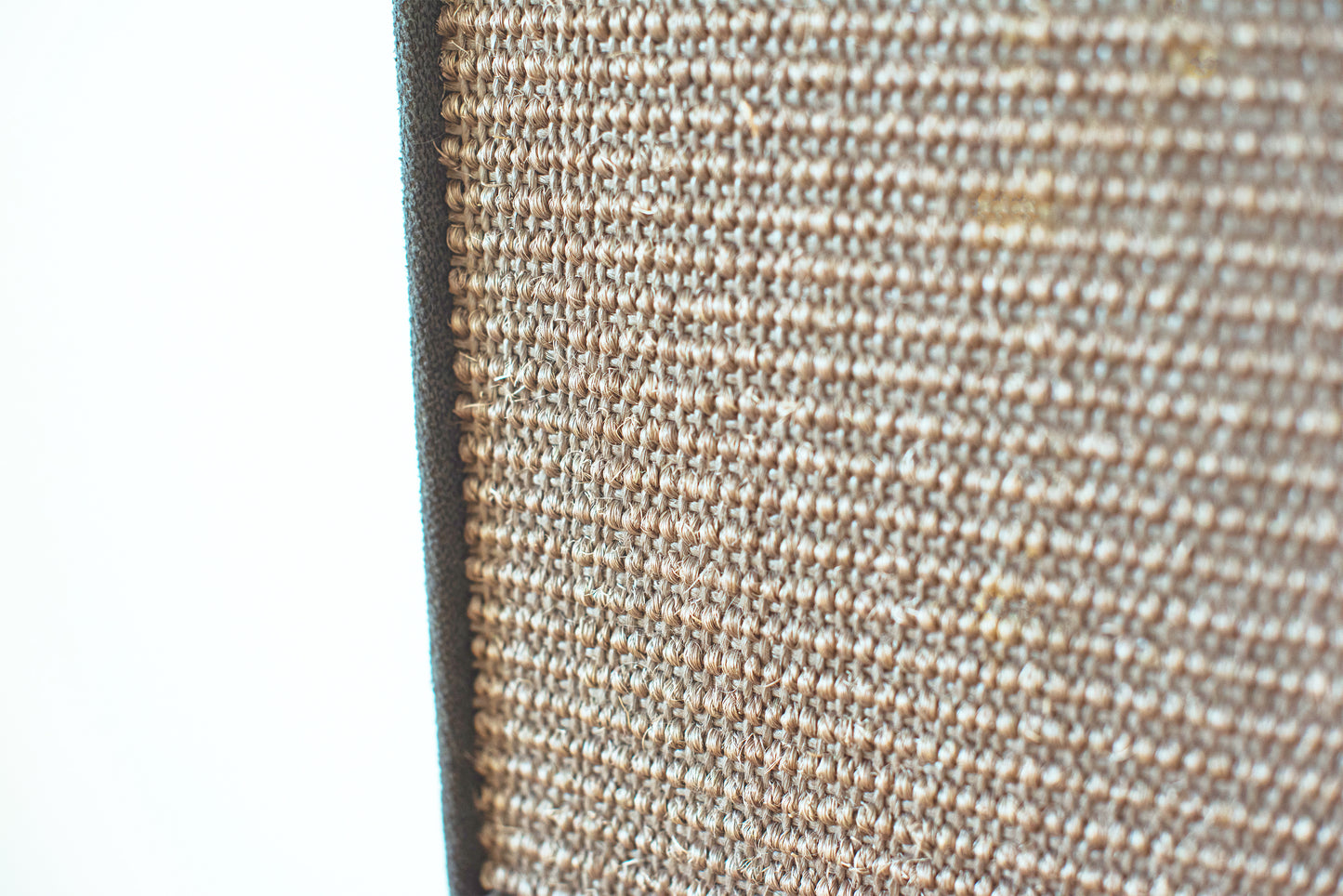 Catry 2-in-1 Scratching Pad