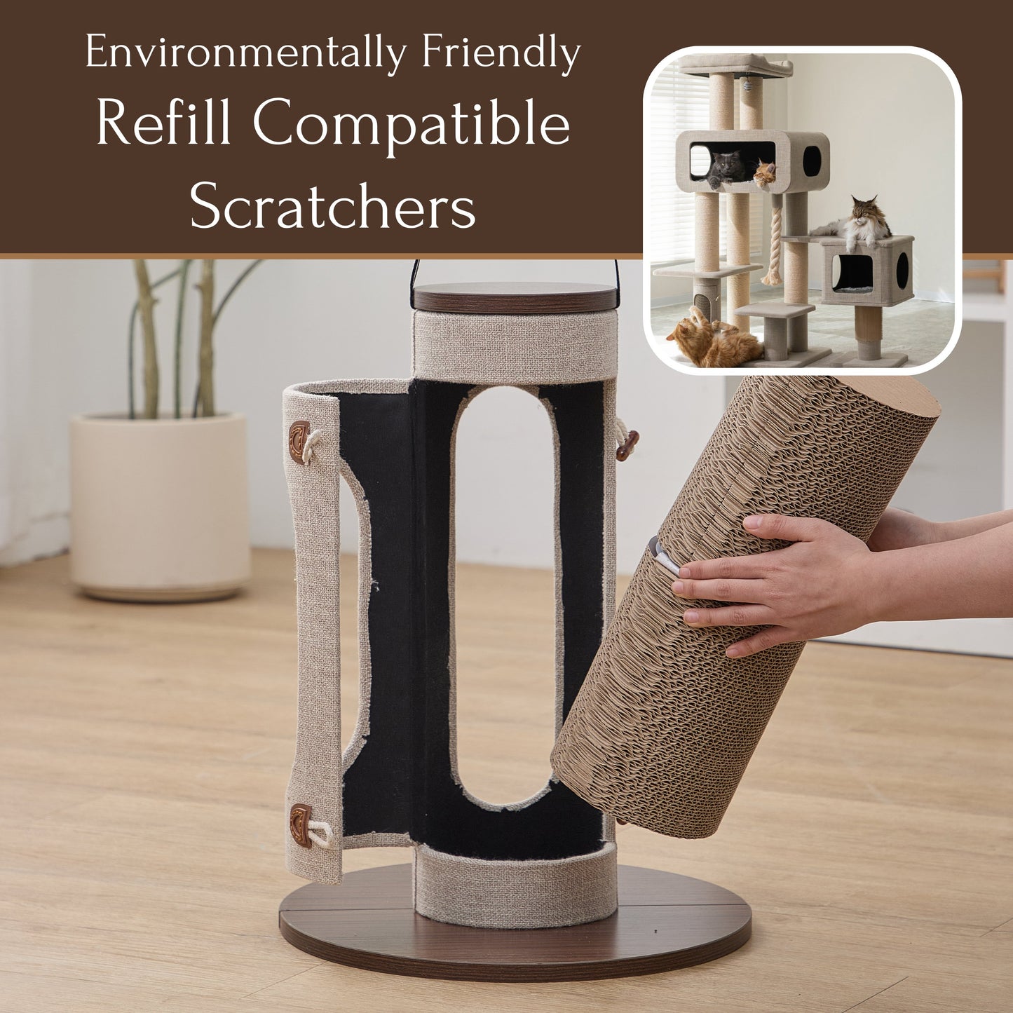 Eco-Scratcher Refill (See link in Description) (Case)