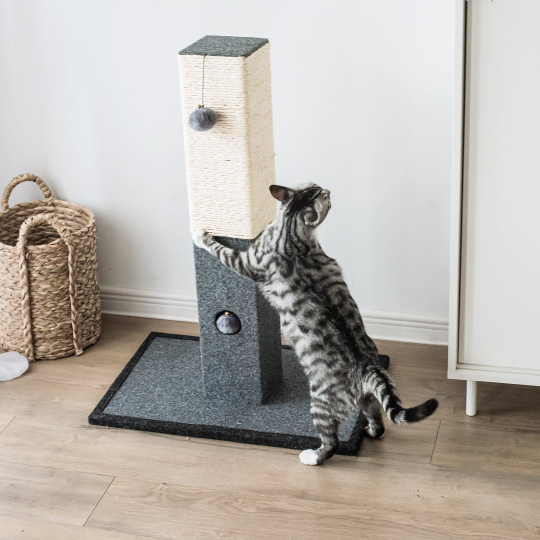 Natural Minimalist Cat Scratching Post