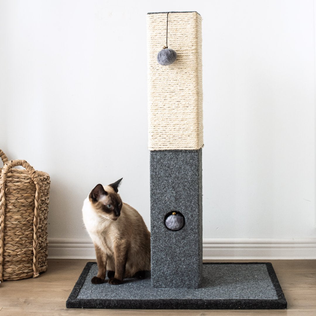 Natural Minimalist Cat Scratching Post