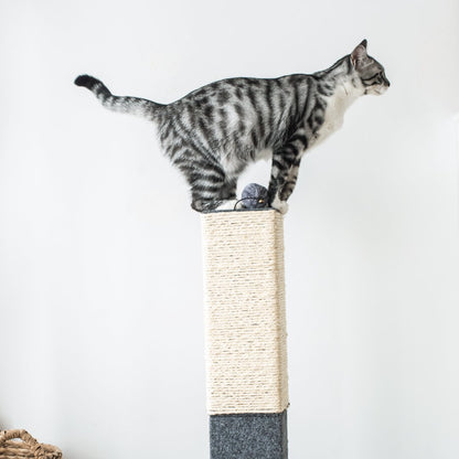 Catry Minimalist Natural Sisal Rope Cat Scratching Post – Catry