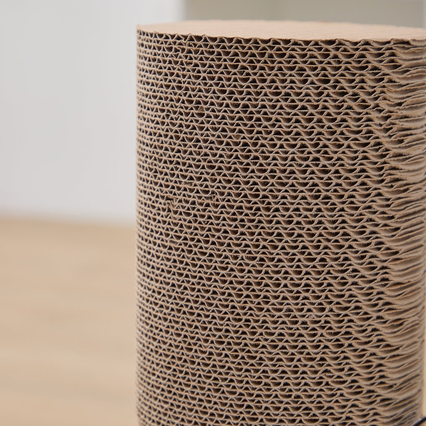 Eco-Scratcher Refill (See link in Description) (Case)