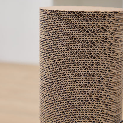 Eco-Scratcher Refill (See link in Description) (Case)