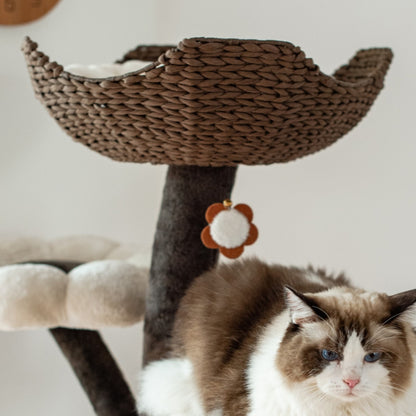 Blossom - Basket Perch Part C